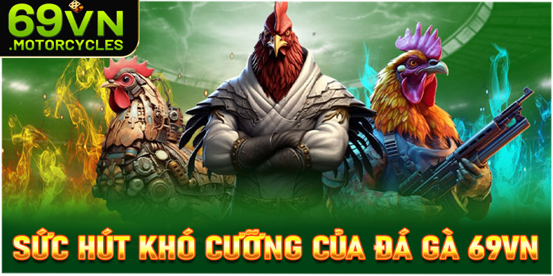 Sức hút khó cưỡng lại của sảnh đá gà 69vn từ đâu?