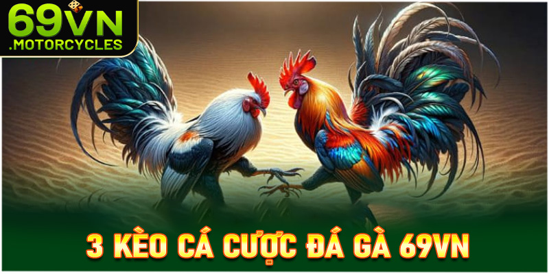 3 kèo cá cược đá gà 69vn được dùng nhiều nhất