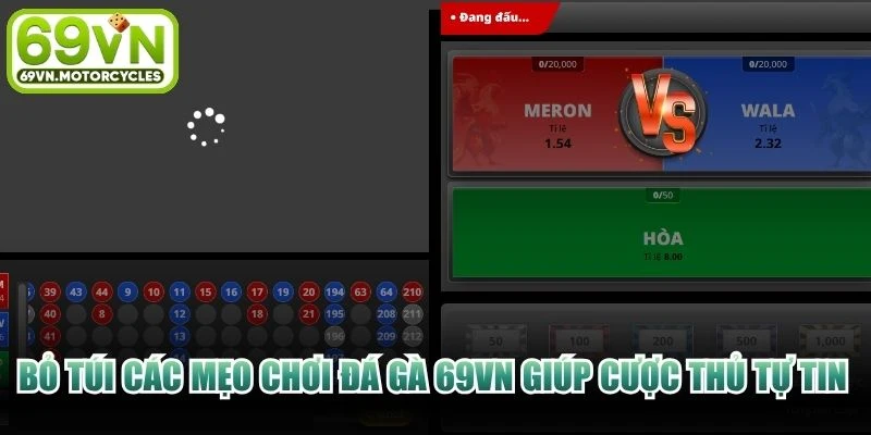 Bỏ túi các mẹo chơi đá gà 69VN giúp cược thủ tự tin săn thưởng lớn