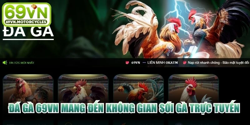 Đá gà 69VN mang đến không gian sới gà trực tuyến đẳng cấp chất lượng